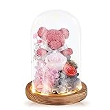 Addwel Preserved Pink Red Rose and Moss Bear in Glass Dome, for Mother's Day Christmas Birthday...
