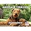 Airedale Terrier