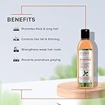 JIVA Bhringaraj Hair Oil, 120 ml — 100% Pure & Natural Bhringraj Oil for Healthy-Looking Hair & Scalp Nourishment, Reduces Flaking, Strengthens Roots — Pack of 1 - Image 3