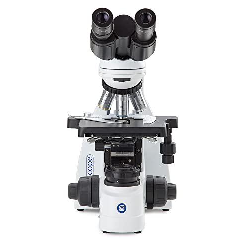 Image of bScope Binocular Compound Microscope, HWF 10x /20mm Eyepieces and Quintuple Nosepiece with Plan PLI 4 /10 /S40 /S100x Oil Infinity Corrected iOS Objectives Globe Scientific | Euromex
