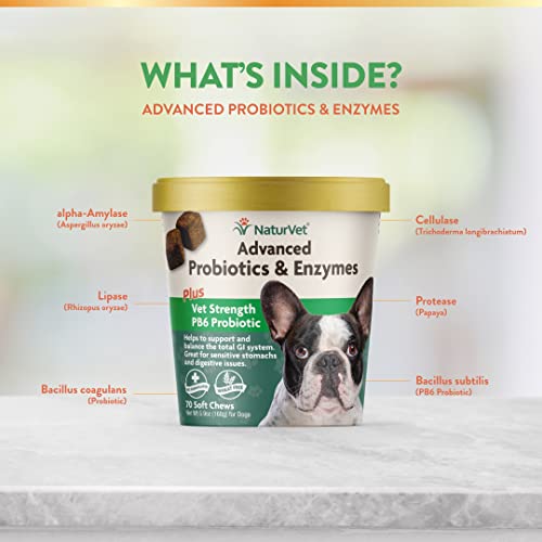 Naturvet – Advanced Probiotics & Enzymes - Plus Vet Strength Pb6 Probiotic – Supports And Balances Pets With Sensitive Stomachs & Digestive Issues – For Dogs & Cats 240 Ct #TOP3