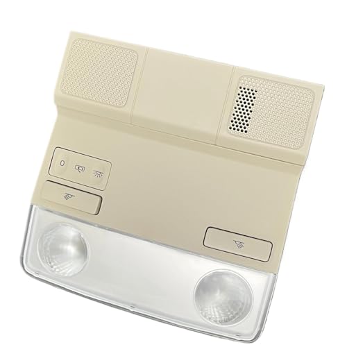 Luz de lectura delantera gris para solucionar fallos en interruptor de techo solar