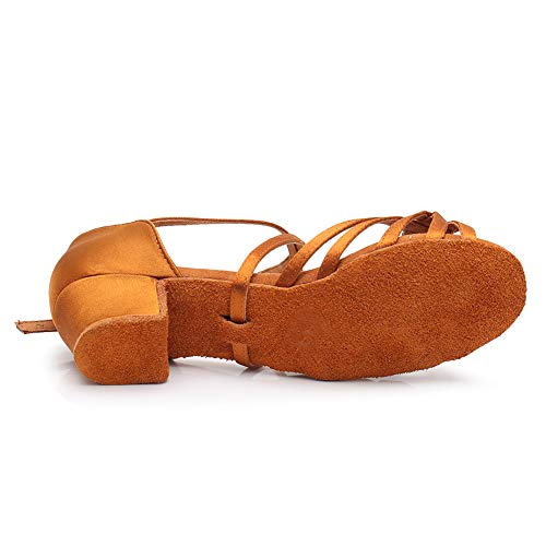 HIPPOSEUS Girls Satin Latin Dance Shoes Low Heel Ballroom Salsa Dance Practice Shoes4