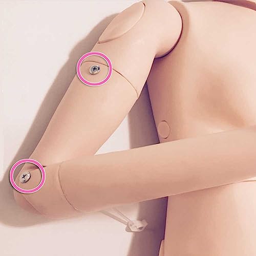 Mannequin de soins infirmiers AMITD corps entier avec modules d'injection interchangeables