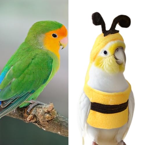 Baoblaze Moletom com capuz para pássaros, roupas para animais pequenos, traje de voo em forma de abe
