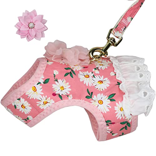 Cat Dog Harness And Leash For Small Girl Dogs Cats Puppy No Pull Floral Daisy With Fabric Flower Clip Decor (X-Small, Pink) #TOP1