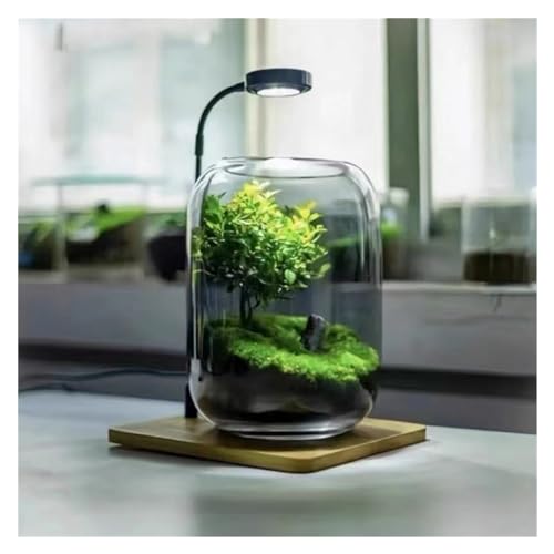 Albero della Vita Pianta Ornamentale Contenitore di vetro LED Set di luce di crescita, con supporto in metallo Base di legno, possibilità di collegare piante artificiali, Adatto per camera da letto, s