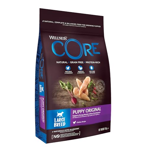 Wellness CORE Large Breed Puppy Original, Welpenfutter Trockenfutter für große Welpen, Huhn, 10 kg, ohne Zuckerzusatz, getreidefrei, mit hohem Fleischanteil