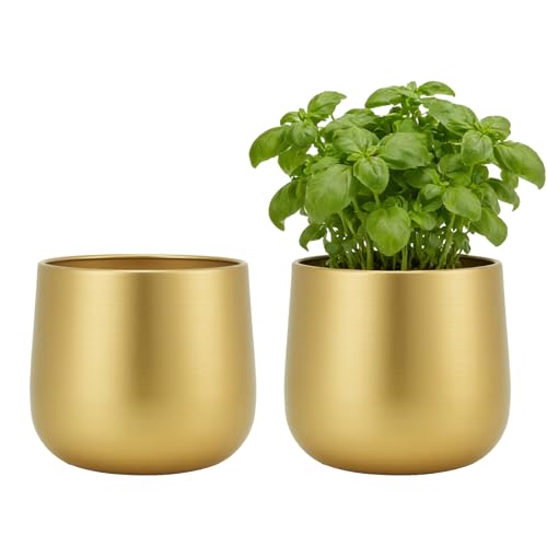Aurabee 6.3 Metal Gold Plant Pots Set of 2 Round Decorative Tabletop Planters with Drainage Hole & Waterproof Liner Indoor Vase for Succulent Snake Plant Cactus & Small Houseplants