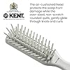 Kent-AH10W-Airhedz-Pro-Narrow-Pin-Hair-Brush-Fat-Pin-White-for-Detangling-and-Grooming Kent AH10W Airhedz Pro Narrow Pin Hair Brush (Fat Pin, White) - for Detangling and Grooming