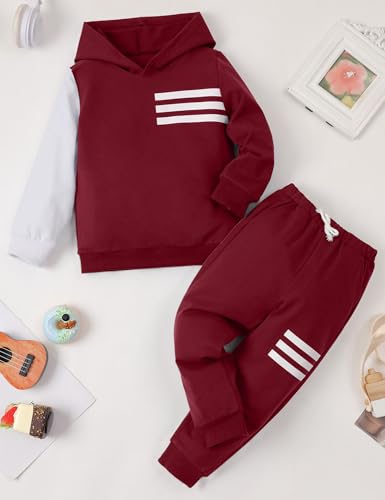 Image of Toddler Boy Clothes Long Sleeve Hoodie Sweatsuits Tops and Pants 2Pcs Boys Fall Winter Outfits Set
