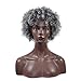 NEWNESS Afro Kinkys Curly Wig with Bangs African American Ombre Grey Synthetic Heat Resistant Wigs Short Fluffy Curly Full Wigs for Black Women