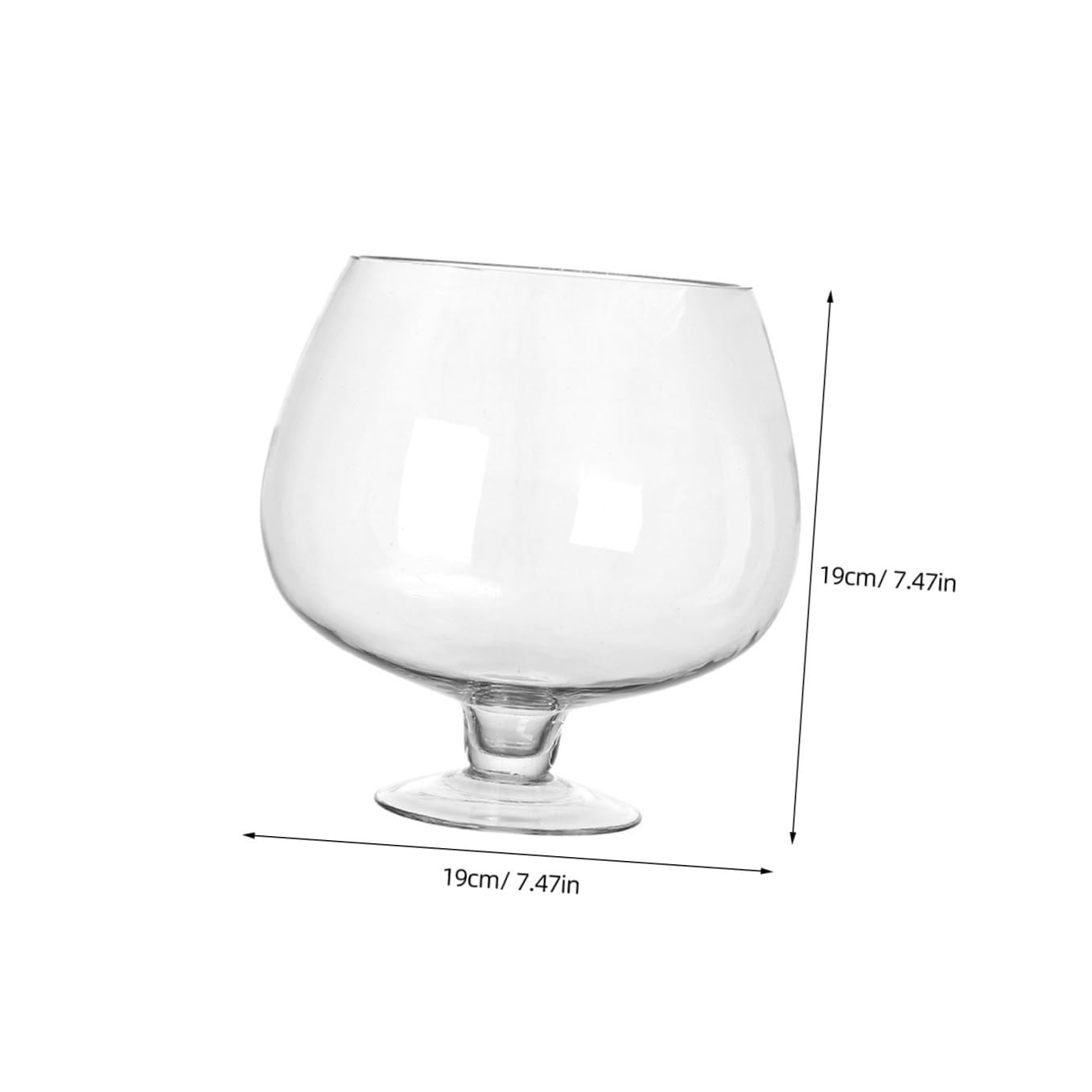 Homoyoyo Acquario Multifunzione in Vetro Trasparente per Pesci Rossi Betta, Vaso Decorativo da Scrivania per Ufficio e Casa, Acquario Decorativo Ecologico 19x19 Cm