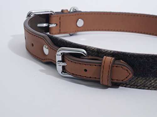 Rosewood 04113 Luxus-Hundehalsband aus Leder für einen Halsumfang von 31-41 cm, Schottenkaro-Tweed