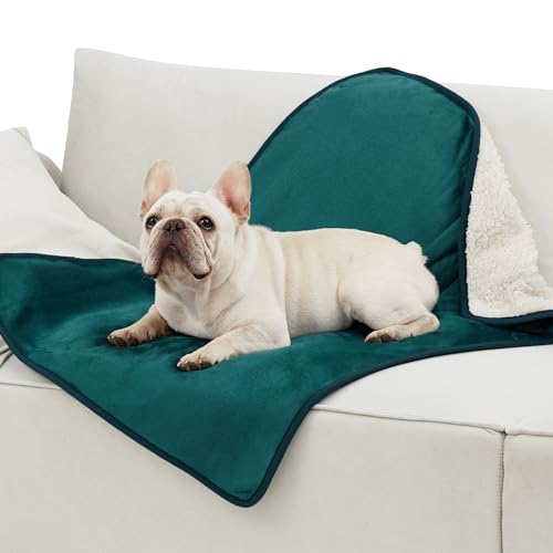 Image of Bedsure Cat Blanket for Indoor Cats - Waterproof Calming Cat Blankets for Couch Protection, Sherpa Fleece Pet Blanket, Soft Plush Reversible Throw Furniture Protector, 40 inchx30 inch, Green