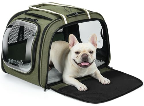 Pecute Cat Carrier with Bubble Window & Sunshade for Dogs Cats, Green XL