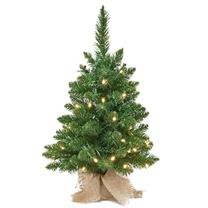 Tabletop Christmas Tree Artificial 24 inches Prelit Battery Operated Timer Light Up Green Xmas Tree for Table Desk Home Christmas Decorations Tabletop Christmas Tree Artificial 24 inches Prelit Battery Operated Timer Light Up Green Xmas Tree for Table Desk Home Christmas Decorations
