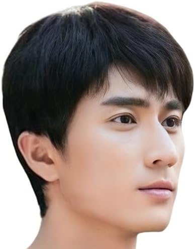 Amazon.co.jp: Optimister ウィッグ かつら メンズ カツラ ヘアカット 
