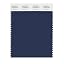 Insignia Blue