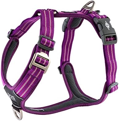 DOG Copenhagen V2 Walk Air – Arnés para caminar (talla L), color violeta pasión