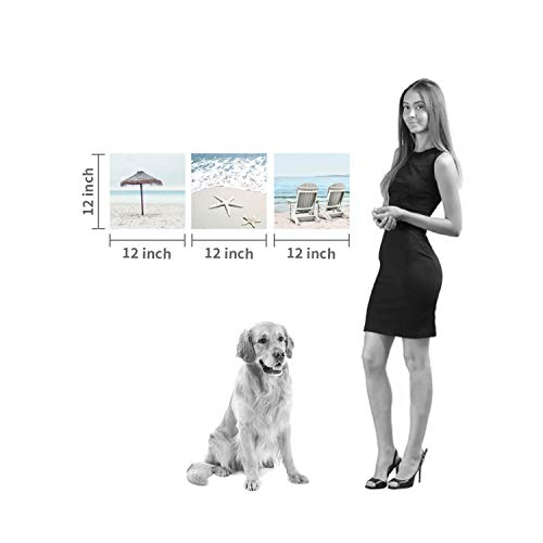 Coastal Canvas Wall Art - Beach Scene, 3 Panels, 12"x12 - Image 6