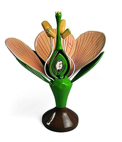 Denoyer-Geppert Schematischer Blütenaufbau, Modell