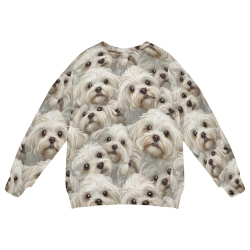 JUNZAN Funny Maltese Dogs Little Boys Pullover Hoodie Long Sleeve Tops Clothing Shirts Party 4T2