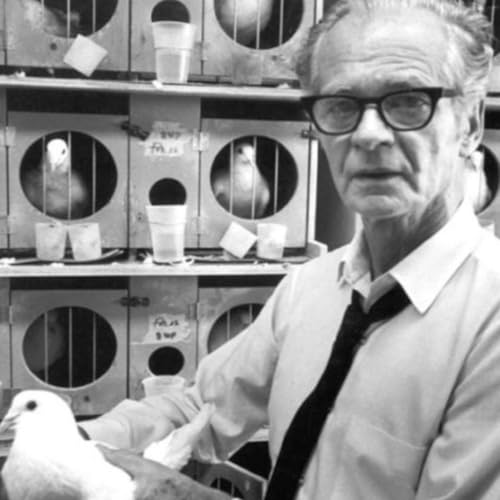 La psicolog&iacute;a de Skinner Podcast Por  arte de portada