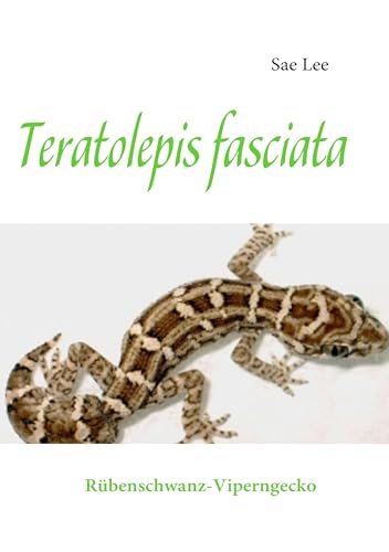 Teratolepis fasciata: Rübenschwanz-Viperngecko