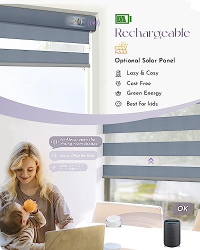 Graywind Motorized Zebra Sheer Blinds Compatible With Alexa Horizontal Light Filtering Window Shades Remote Roller Blinds With Valance For Smart Home And Office, Customized Size (Luxury Blue Grey) #TOP2