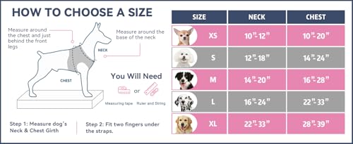 PHOEPET 2 Anti-Zieh-Hundegeschirr für kleine Hunde, reflektierend, verstellbar, mit Clip an der Vorderseite, Weste mit Griff, 2 Metallringe, 3 Schnallen, einfach an- und auszuziehen, Größe XS, Schwarz
