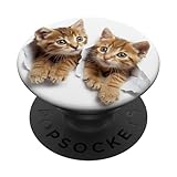 Adorable bébé ceylan chat chatons découpés style PopSockets PopGrip Interchangeable