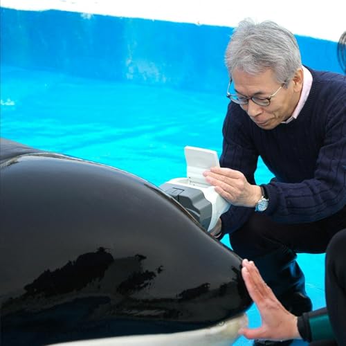 イルカの言語能力を探る旅