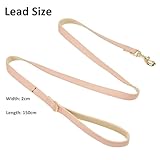 YUDOTE 150 cm weiche Hundeleine aus Baumwolle mit PU-Leder, Hellrosa, Bequeme Flache Leine für mittelgroße Hunde, ideal für tägliche Spaziergänge, Jogging und Outdoor-Aktivitäten
