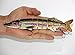 Discover Fish 3.0" New Multi Jointed 6 Jointed Fishing Life-like Hard Lure Minnow Bass Bait Swimbait Minnow Crank Shad Herring Bass Pike Muskie Crucian (3" and 2")