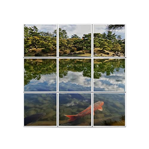 Carreaux céramique carpes koi lot de 9 fresque 60x60 cm pour mur
