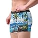 yyunbmr Cool Funny Boxer Briefs for Men Humorous Trunks 3D Cut Underwear Mens Fashion Shorts hawaii beach Print, Black, XXL