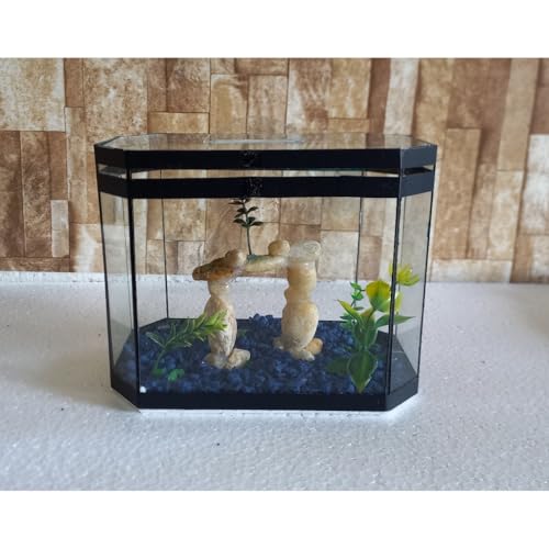 Aquario Beteira Oval Para Peixe Betta 3,0L (até a borda) Decorado Ornamentação Exclusiva
