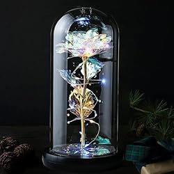 Galaxy Rose in Glass Dome for Her