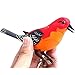 Liberty Imports Singing and Chirping Bird Toy in Cage - Realistic Sounds and Movements - Sound Activated