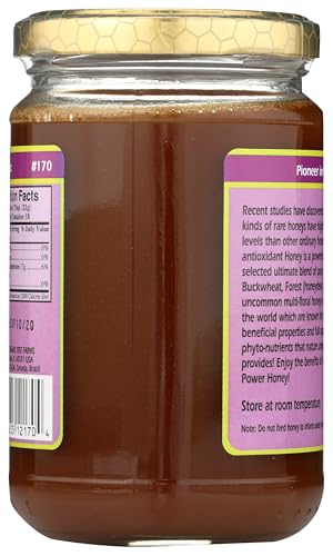 Raw Antioxidant Power Honey YS Eco Bee Farms 13 oz Paste miniatura 2