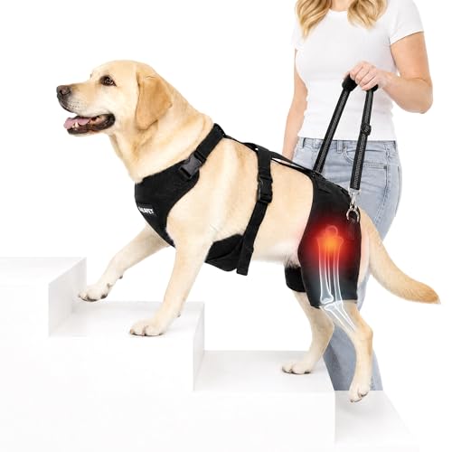 BALAPET BALAPET Dog Hip Brace Support Harness with Lift Handle Adjustable Hip Support Brace for Large Dogs Soft Removable Hip Pads Mobility Assistance Harness for Walking Stairs & Car Support (L)