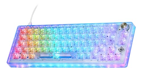 DELTACO GAMING DK460 - Teclado mecánico para juegos (RGB, QWERTZ Layout, 65%, 67 teclas, USB-C) – Transparente
