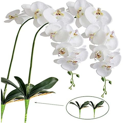 FagusHome Orchidée Artificielle 105cm Cover