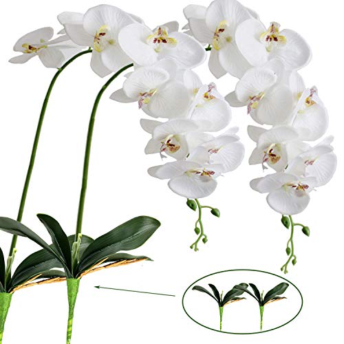 FagusHome 2 Piezas Flores Artificiales Orquídea Phalaenopsis Mariposa 105cm con 2 Piezas Hojas de Orquídea Phalaenopsis Hojas (2)