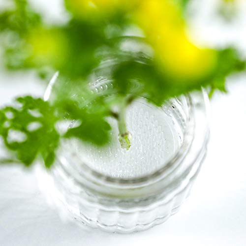 Wazakura Clear Ikebana Kenzan Japanese Flower Holder, Made In Japan, Floral Arranging Pin Frog, Round - 3"(78Mm) Clear #TOP4