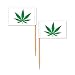 Beistle 60071 Weed Picks, 2½"", Multicolor