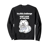 Samoyed Challenge Don't look at it
