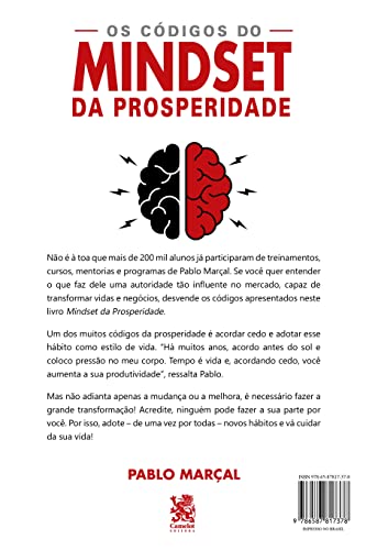 Os Códigos do Mindset da Prosperidade - Pablo Marçal