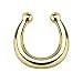 Inspiration Dezigns Gold Fake Nose Ring Septum Piercing Jewelry